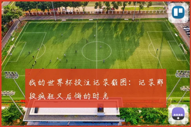 我的世界杯投注记录截图：记录那段疯狂又后悔的时光