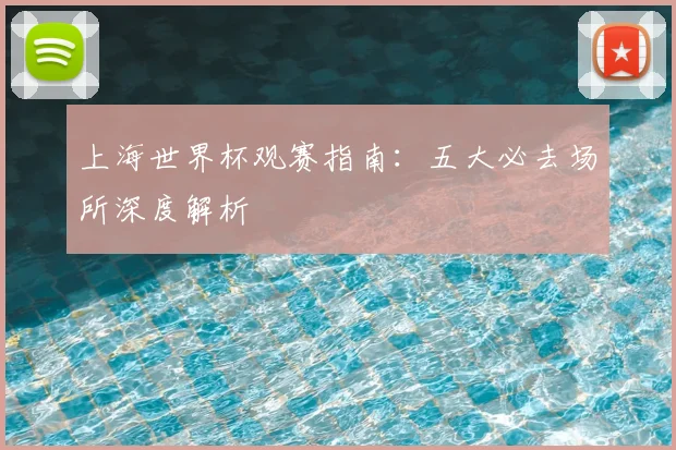 上海世界杯观赛指南：五大必去场所深度解析