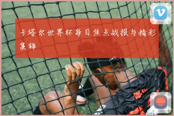 卡塔尔世界杯每日焦点战报与精彩集锦